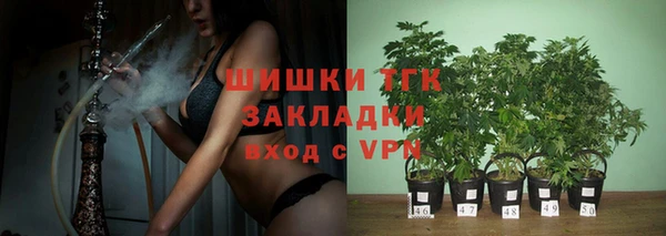 тгк Армянск