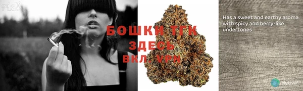 эйфоретик Аркадак
