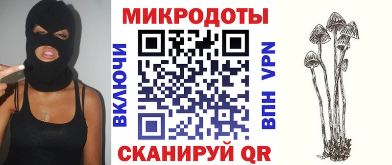 Галлюциногенные грибы Cubensis  закладки  Аша 